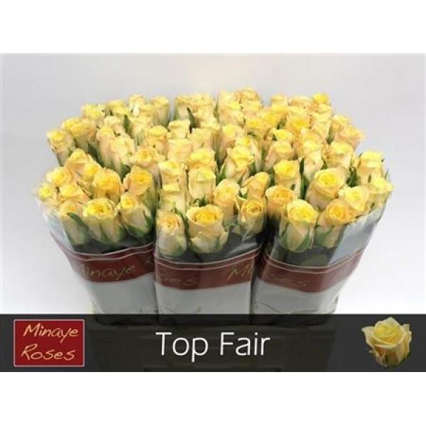R Gr Top Fair!