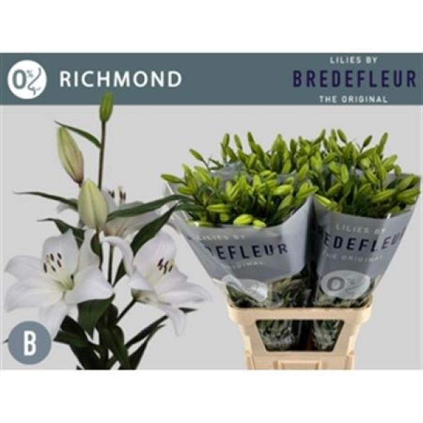 Li La Richmond 5+