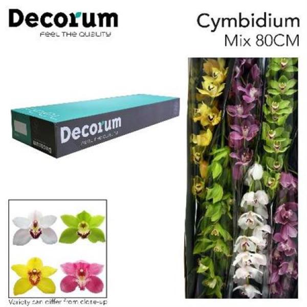 Cymb   Mix Decorum *6