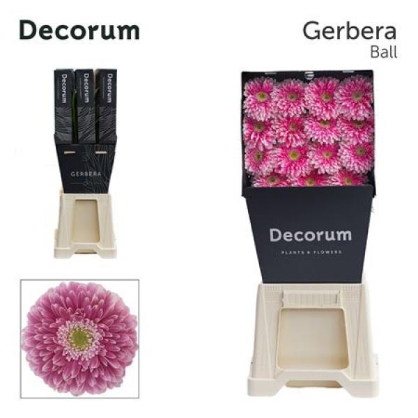Ge Gr Diamond Pomponi Power Ball