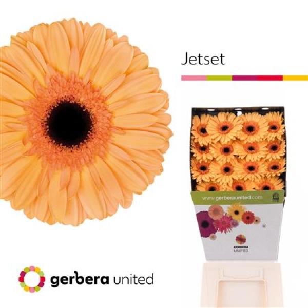 Ge Gr Diamond Jetset