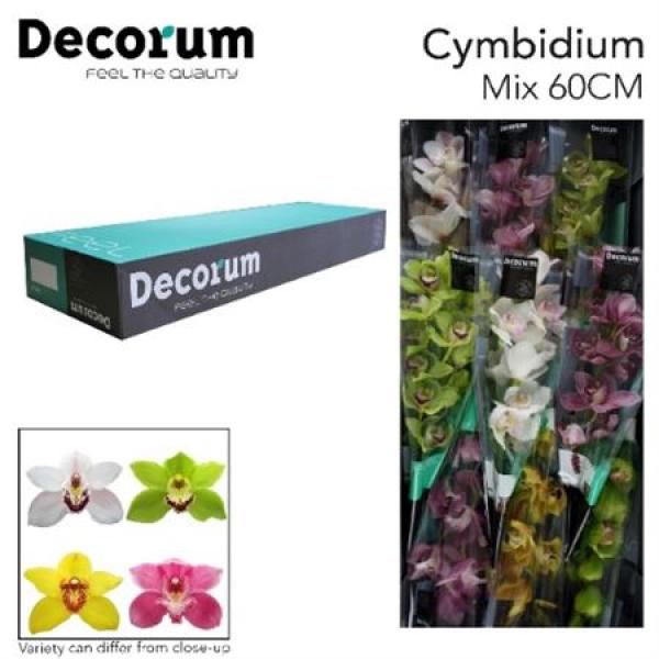 Cymb   Mix Decorum *9
