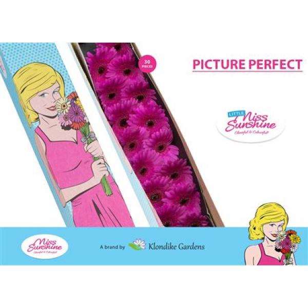 Ge Mi Small Box Picture Perfect