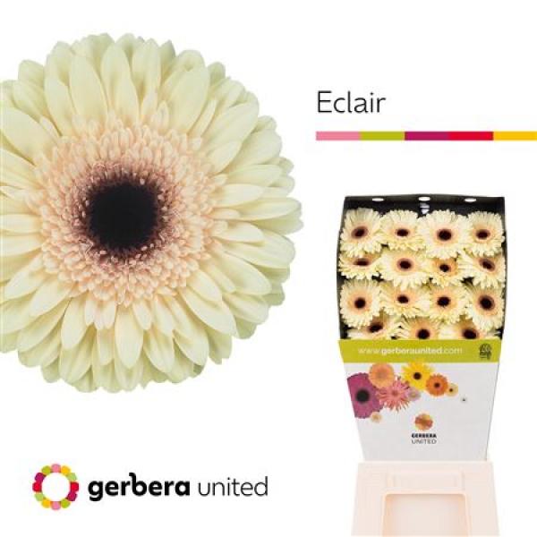 Ge Gr Diamond Eclair