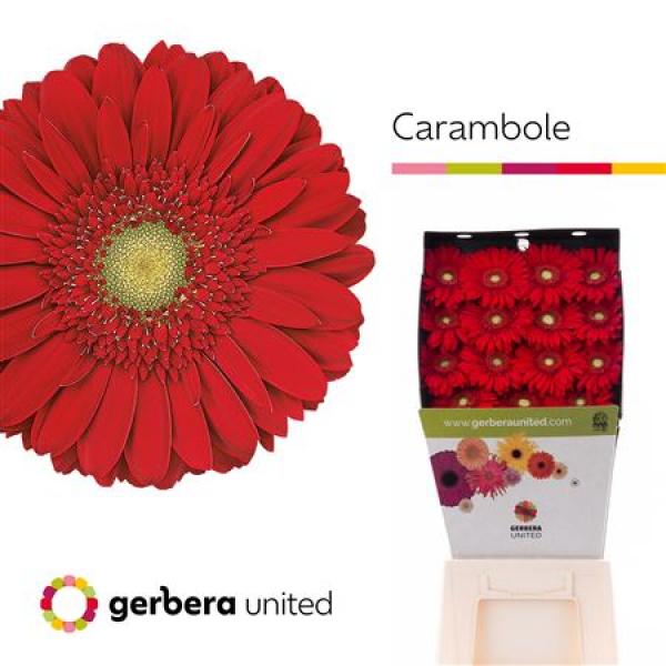 Ge Gr Diamond Carambole