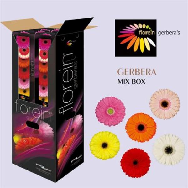 Ge Gr Aquabox Mix *96