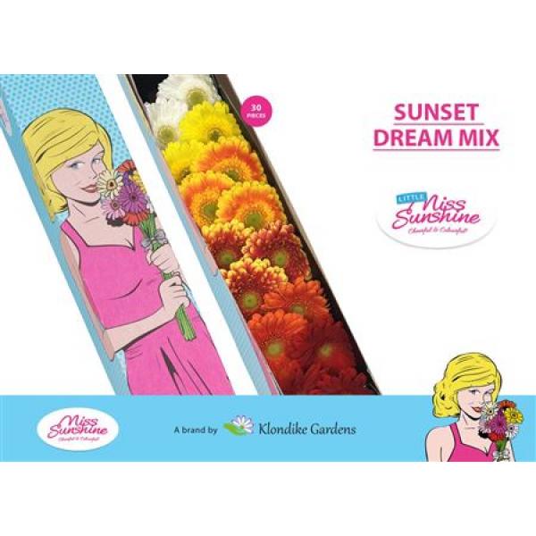 Ge Mi Small Box Mix Sunset Dream