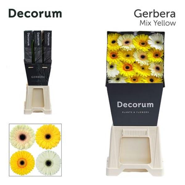 Ge Gr Diamond Mix Yellow