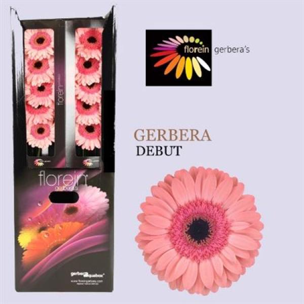 Ge Gr Aquabox Debut *80