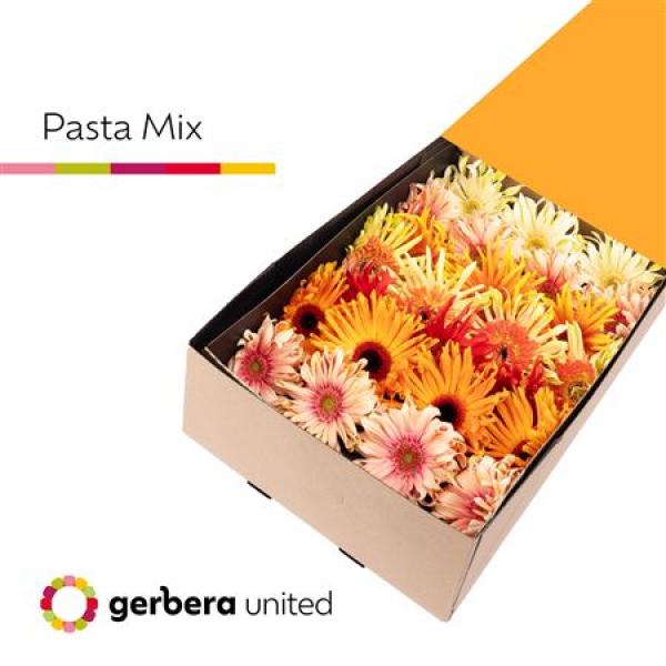 Ge Gr Box  Mix Pasta On Row