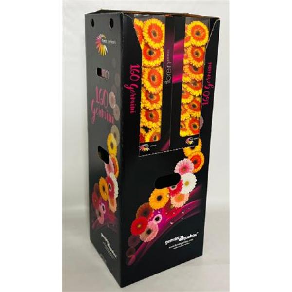 Ge Mi Aquabox Small Decora *160