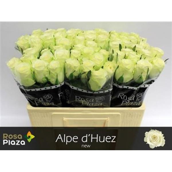 R Gr Alpe Dhuez