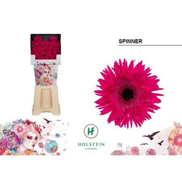 Ge Mi Diamond Spider Spinner