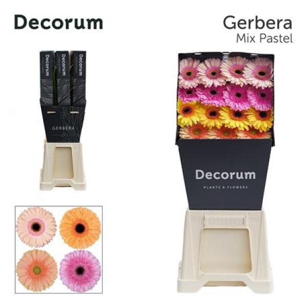 Ge Gr Diamond Mix Pastel