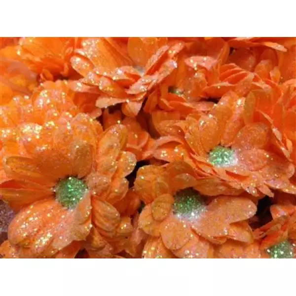 Chr Tr Bacardi Dyed Apricot + Glit