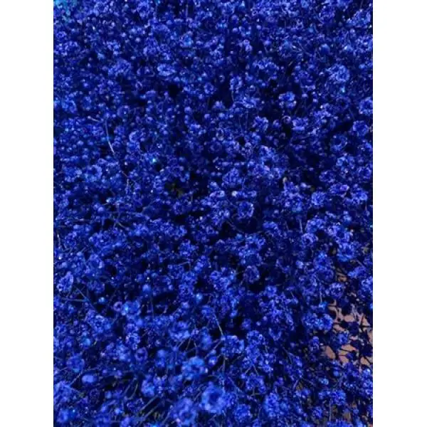Gyps Xlence Dyed Blue