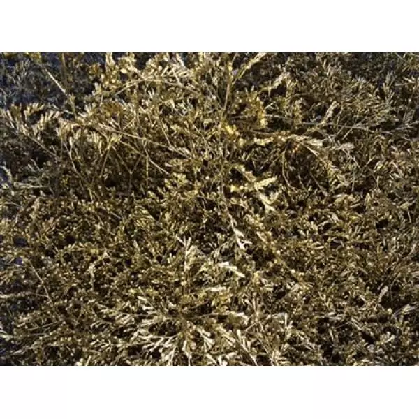 Lim Beltaard Dyed Gold