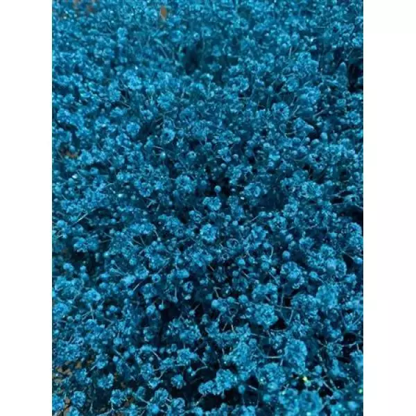 Gyps Xlence Dyed Light Blue