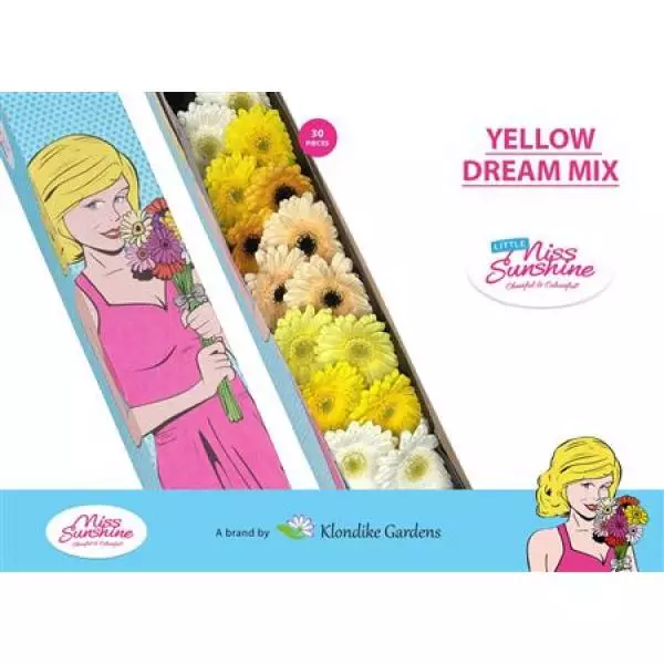 Ge Mi Small Box Mix Yellow Dream