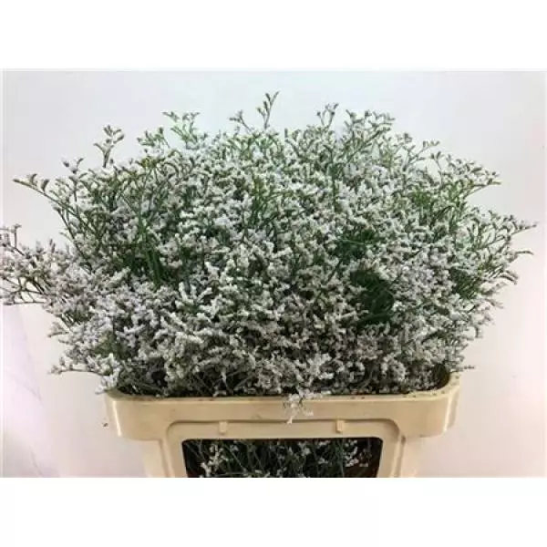 Limon White Neto
