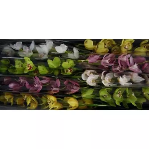 Cymb   Mix Extra *8