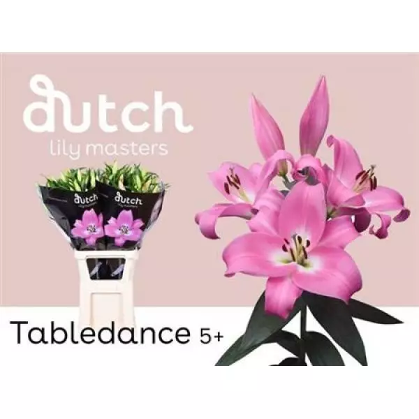 Li Ot Table Dance 5+