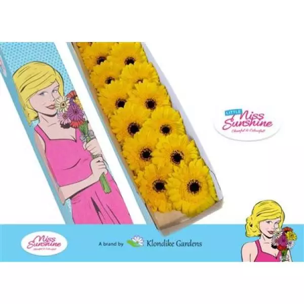 Ge Mi Small Box Pacman