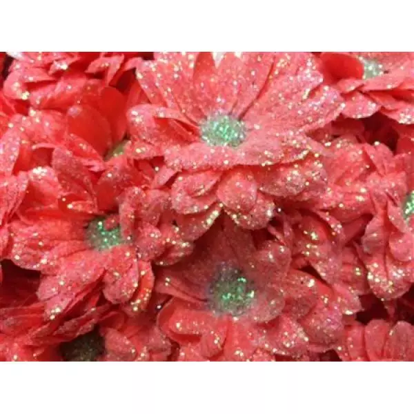 Chr Tr Bacardi Dyed Pink + Glit