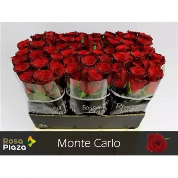 R Gr Monte Carlo