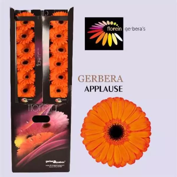 Ge Gr Aquabox Applause *96