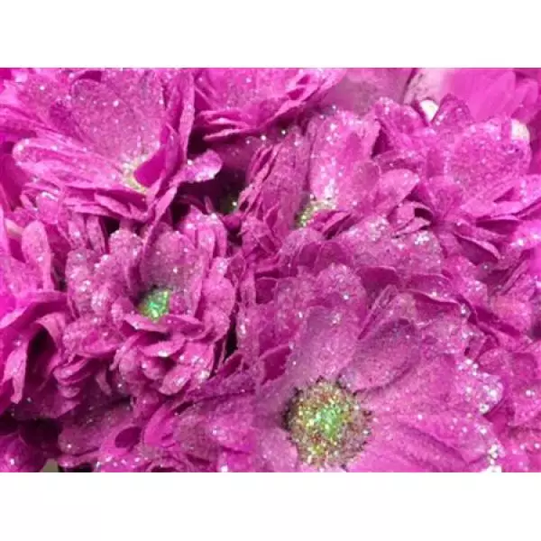 Chr Tr Bacardi Dyed Cerise + Glit