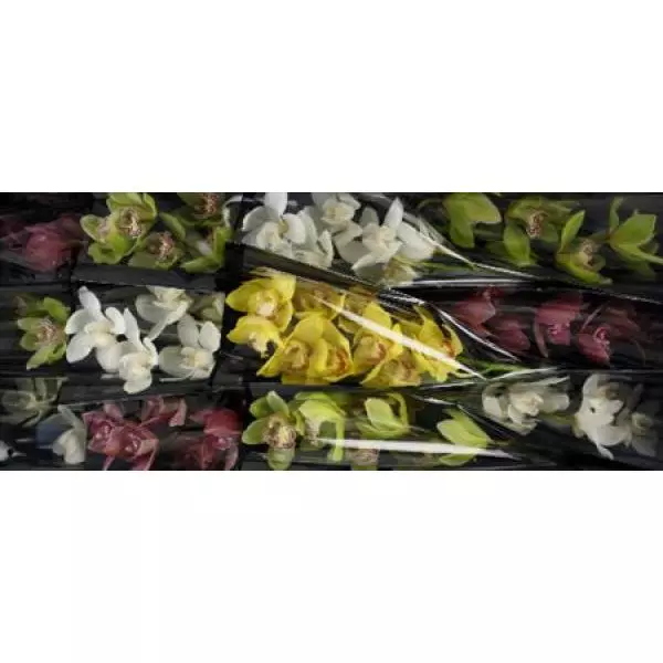 Cymb   Mix 60cm