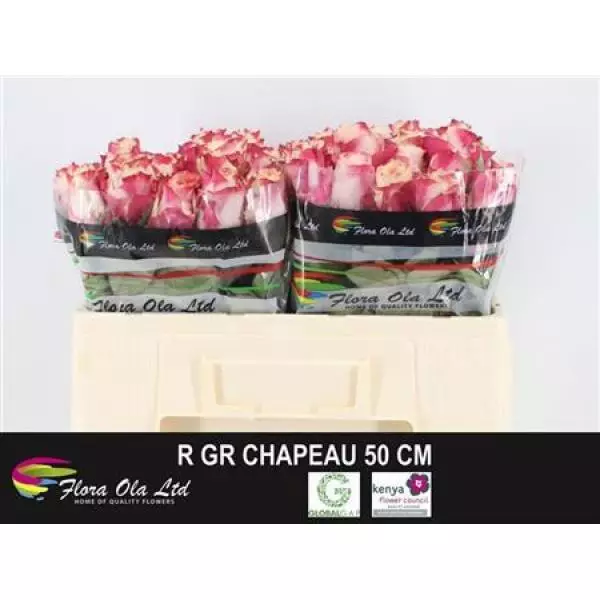 R Gr Chapeau