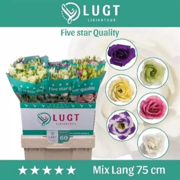 Eust  Mix G 70cm Lugt