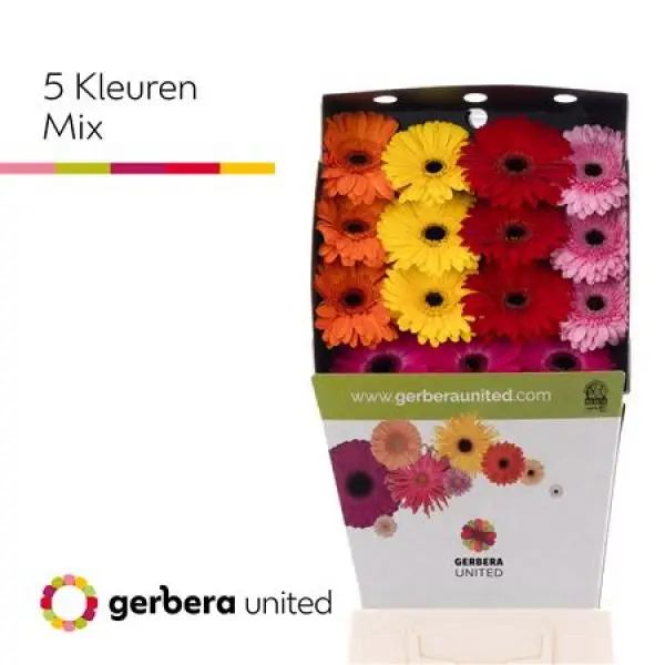 Ge Gr Diamond Mix 5 Colors