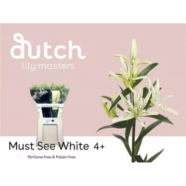 Li As Must See White 4+