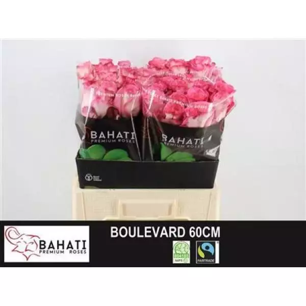 R Gr Boulevard