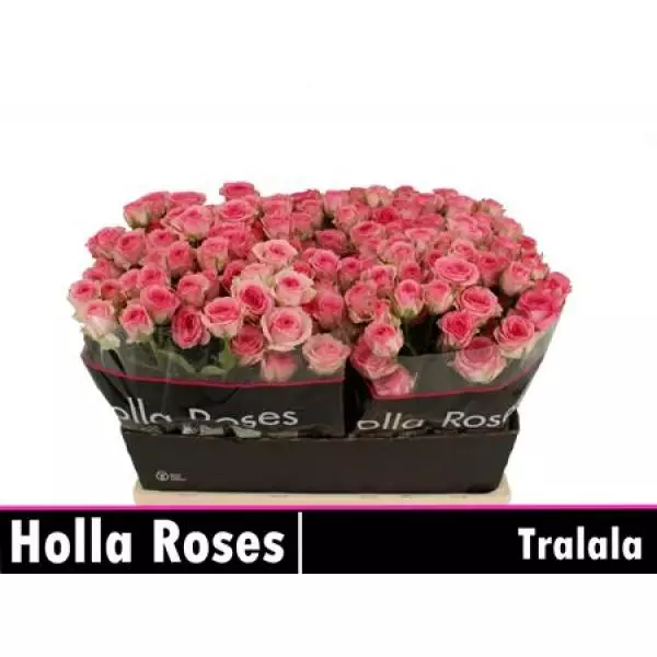 R Tr Tralala