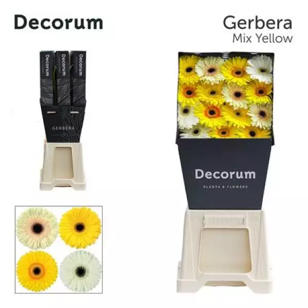 Ge Gr Diamond Mix Yellow