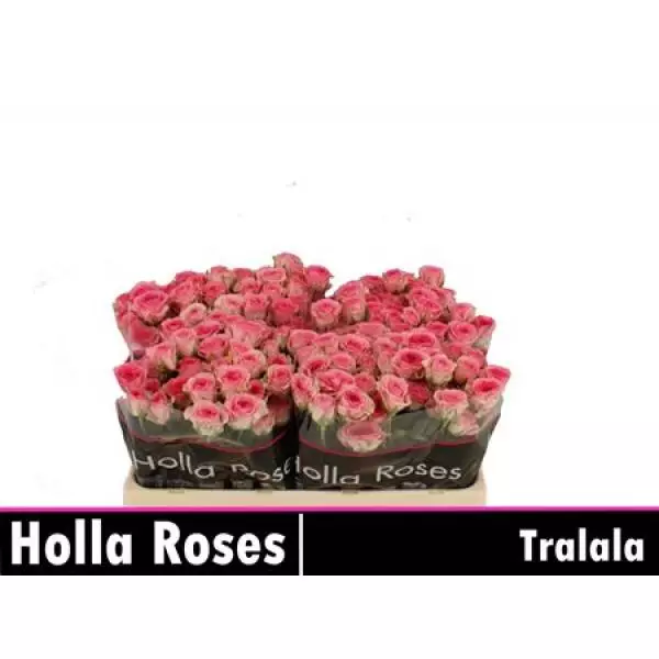R Tr Tralala
