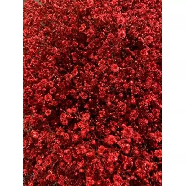 Gyps Million Star Dyed Red + Glit